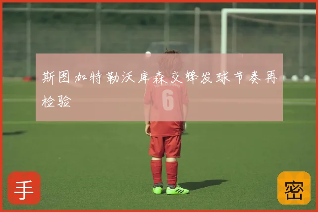 斯图加特勒沃库森交锋发球节奏再检验
